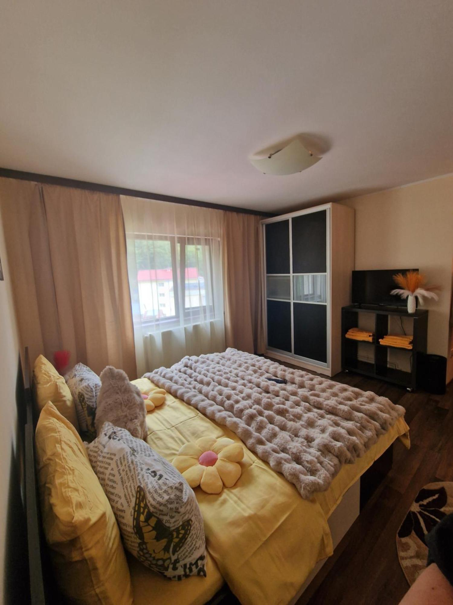 Apartament Red & Yellow Slănic-Moldova エクステリア 写真