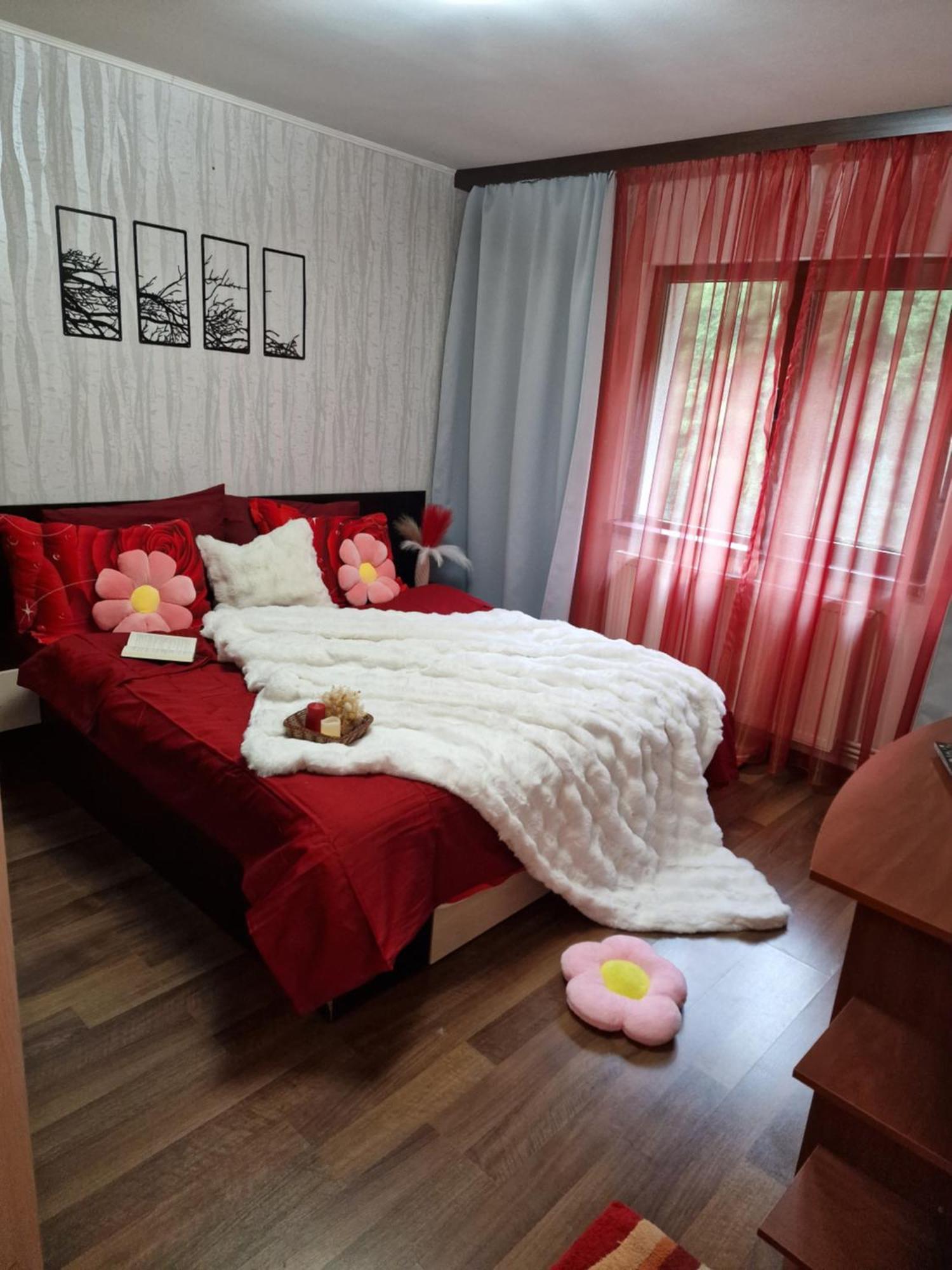 Apartament Red & Yellow Slănic-Moldova エクステリア 写真