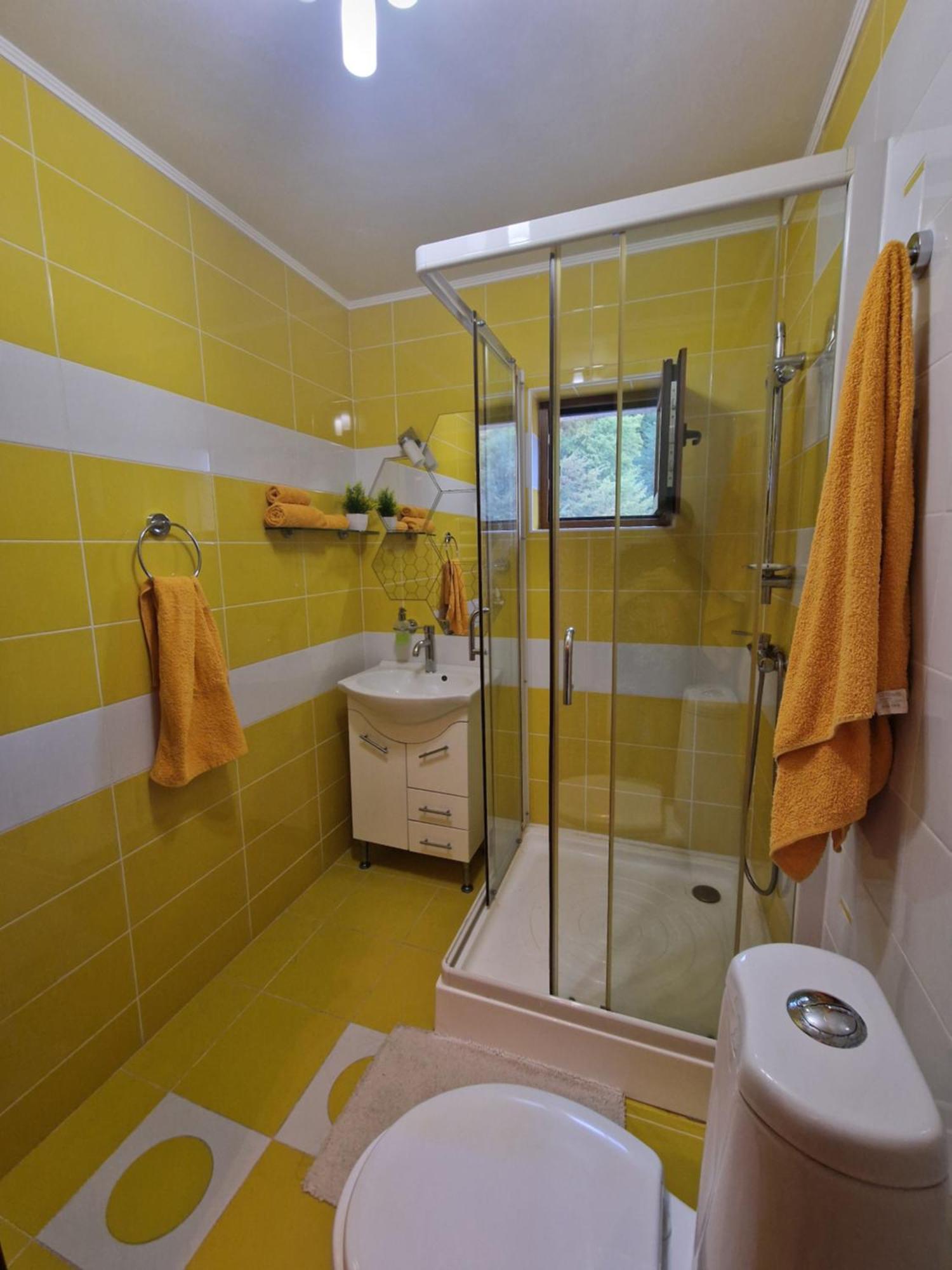 Apartament Red & Yellow Slănic-Moldova 部屋 写真